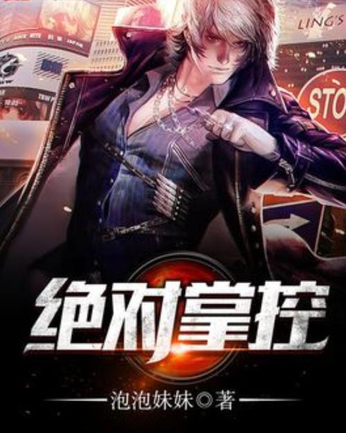 绝对掌控 小说