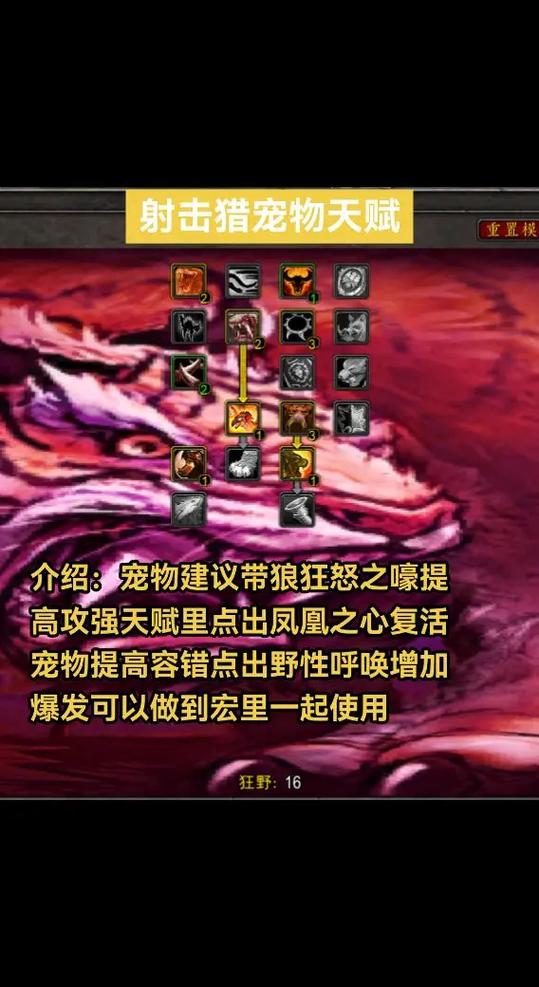 怀旧服猎人pve射击天赋截图2