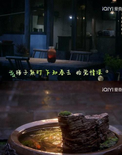 最食人间烟火色解说