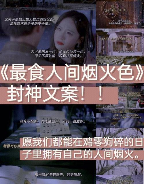最食人间烟火色解说截图2