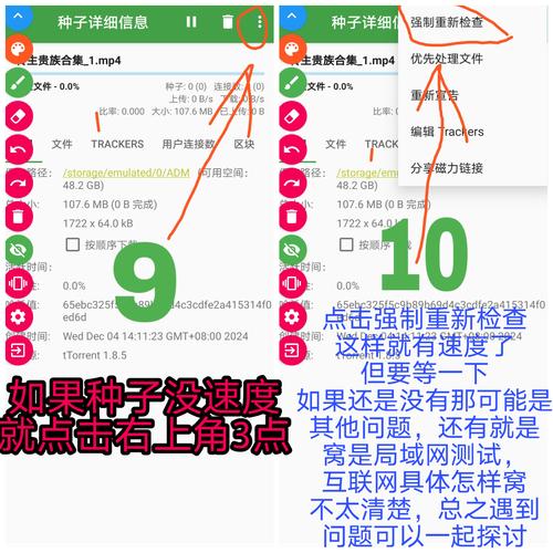 bt种子文件怎么安装