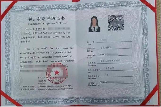 国家职业资格大典