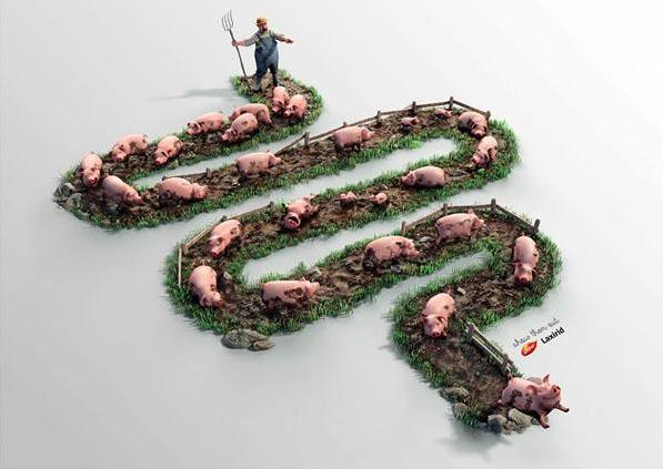 广告中的色彩禁忌截图3