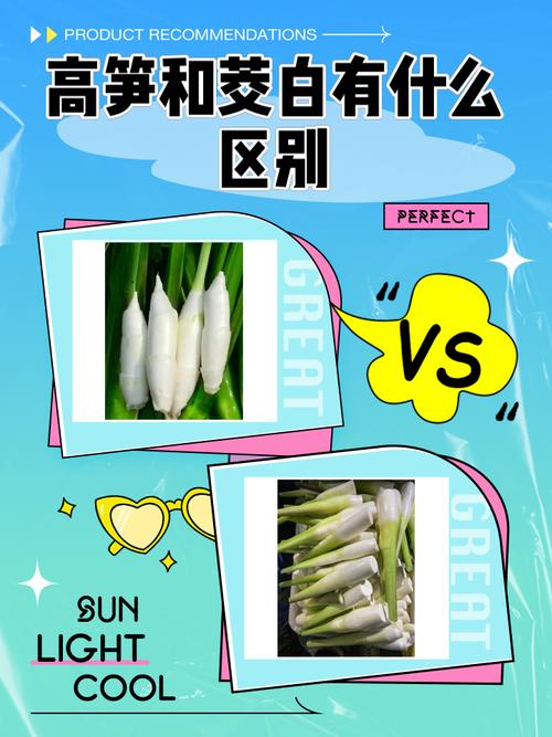 kwrt和openwrt区别