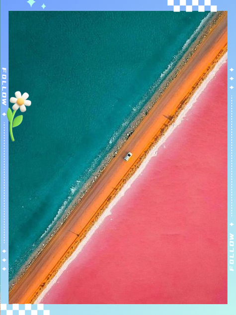 墨西哥粉红色盐湖