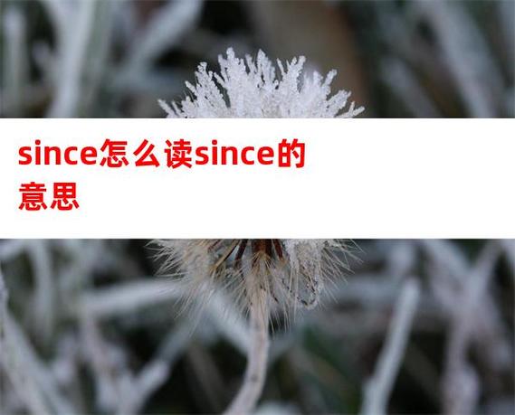 since1983是什么意思