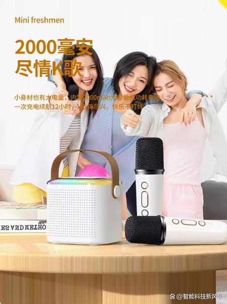 ktv能要求加麦克风吗