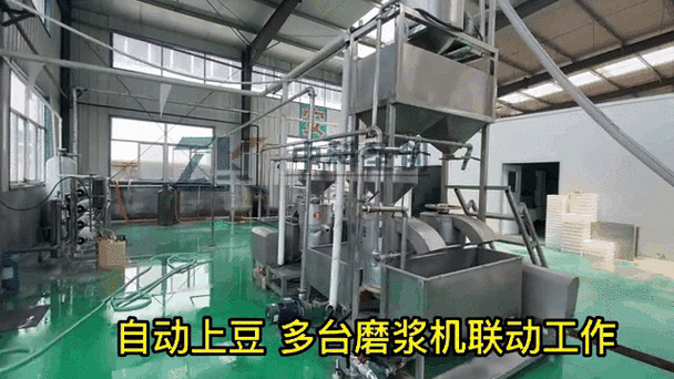 小熊磨浆煮浆压制一体机