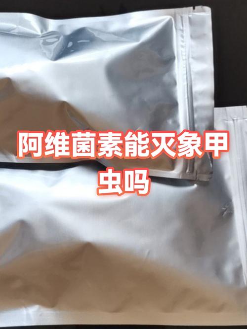 象甲虫用什么农药