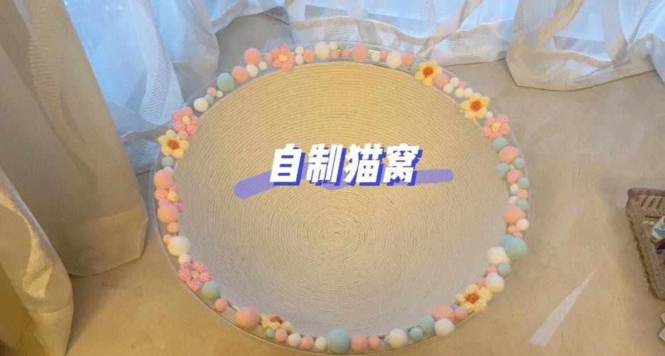 猫的耳朵外面的一个小窝截图3