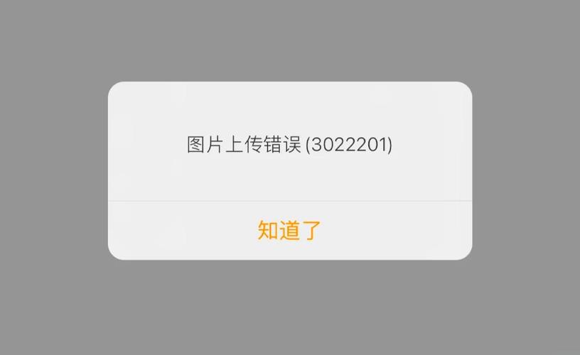 图片上传错误3022105