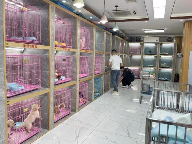 宠物店进货渠道怎么找