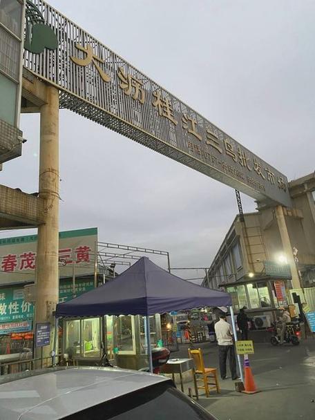鸟市场在哪里?