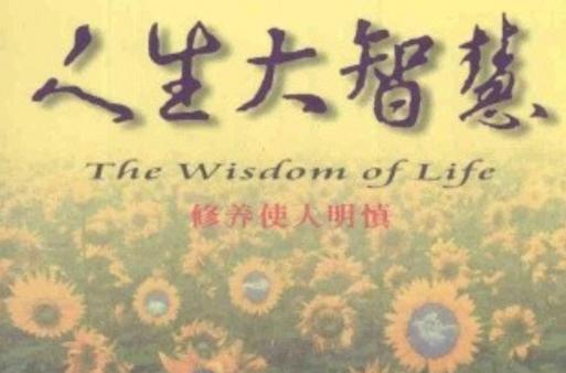 从永无止境中获得智慧的小说
