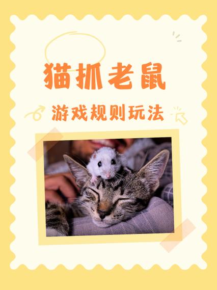 七舅脑爷商场猫抓老鼠