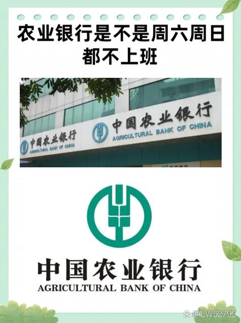 农业银行电话号码截图3