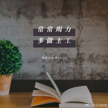 四种无知的人讲章截图3