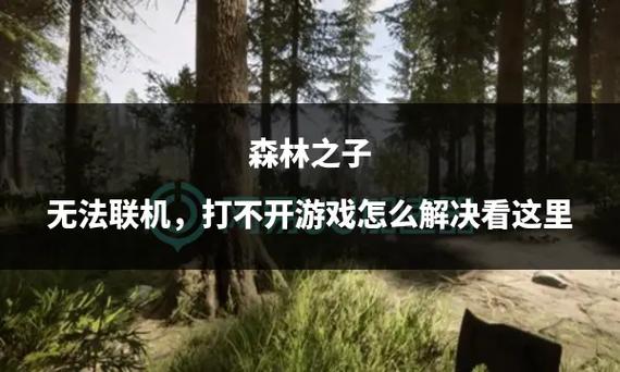 森林联机显示无法加入大厅