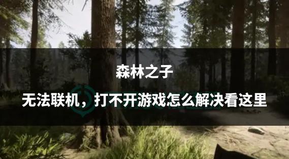 森林联机显示无法加入大厅截图2