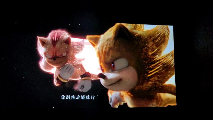 索尼克vs夏特