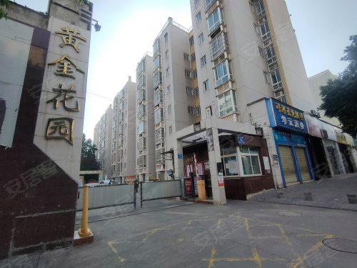 正版的黄金花园