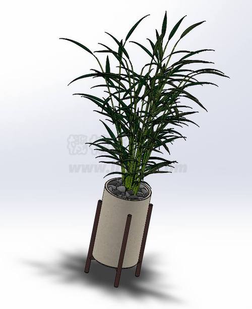 solidworks绿色版