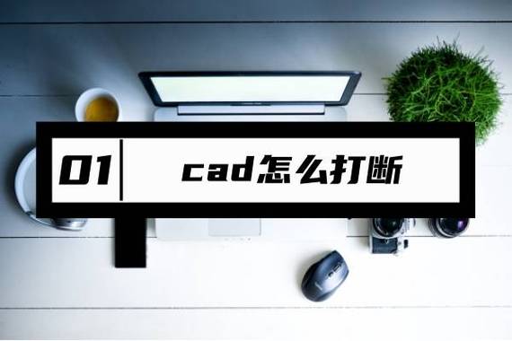 怎么用CAD截出清晰的图截图2