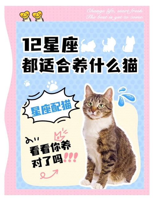 金牛座女生应该养什么动物