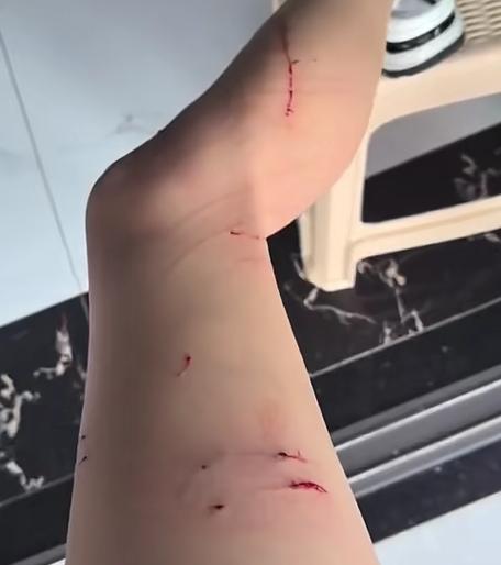 猫抓视频分段合并
