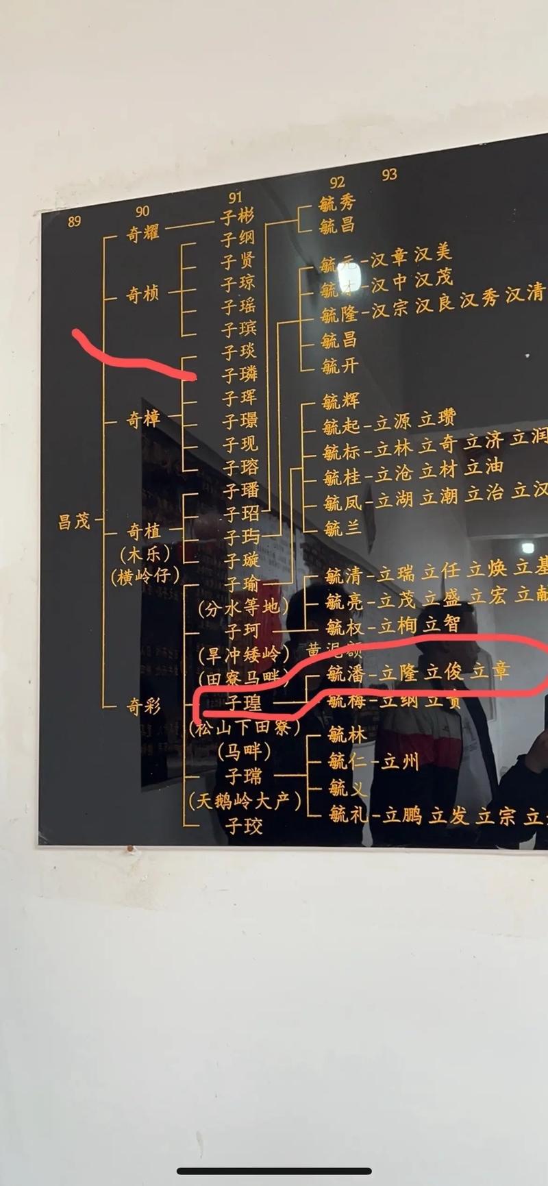 杨藩是谁的后代