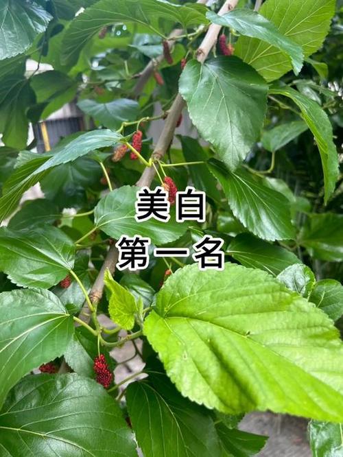 斑点怎么去除