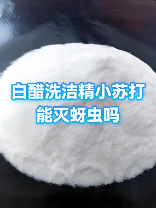敌敌畏杀蚜虫几分钟见效截图3