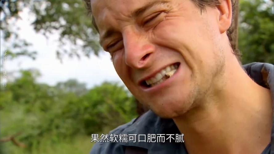 贝爷吃的食物视频