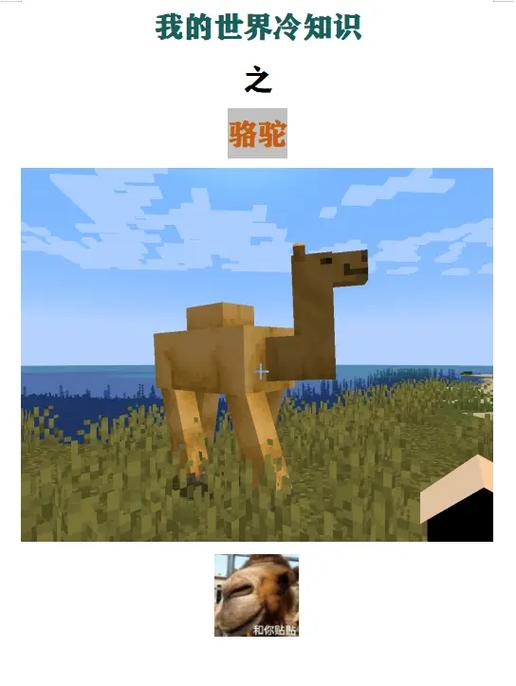 迷你世界骆驼变成小黑人怎么弄