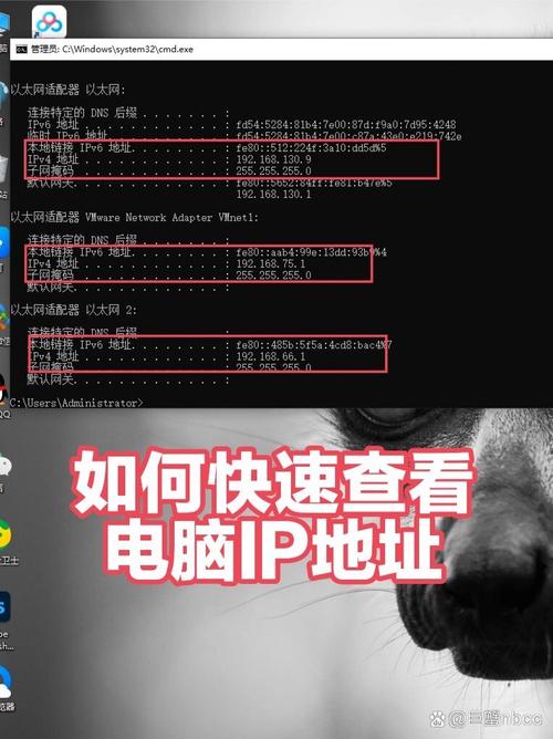 穿越火线ip地址查询