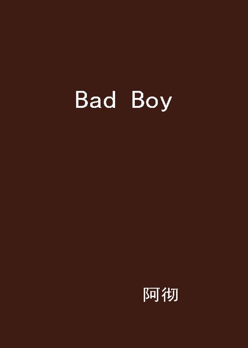 badboy小说免费