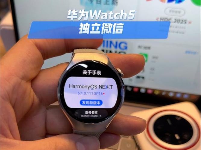 watch5支持独立微信吗?