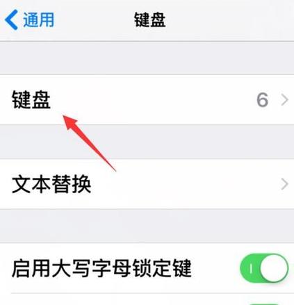 苹果手机输入法点不出来