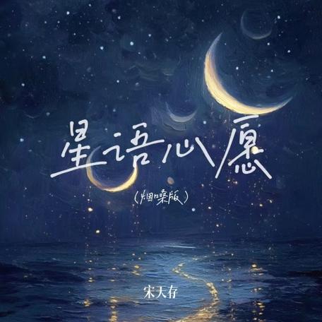 烟嗓版《星语心愿》