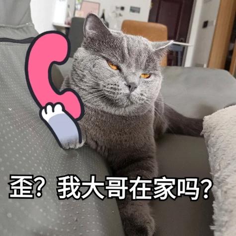 称呼哥的可爱叫法