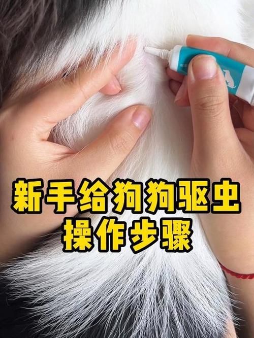 狗狗驱虫最简单方法