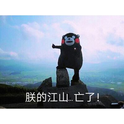 朕的江山亡了作者:雾十