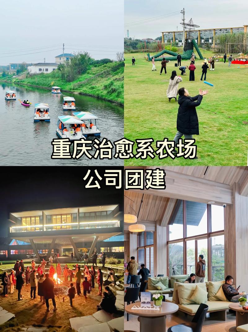 重庆幸运农场手机版下载