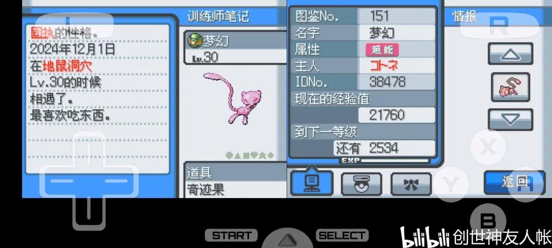 口袋妖怪心金图鉴493