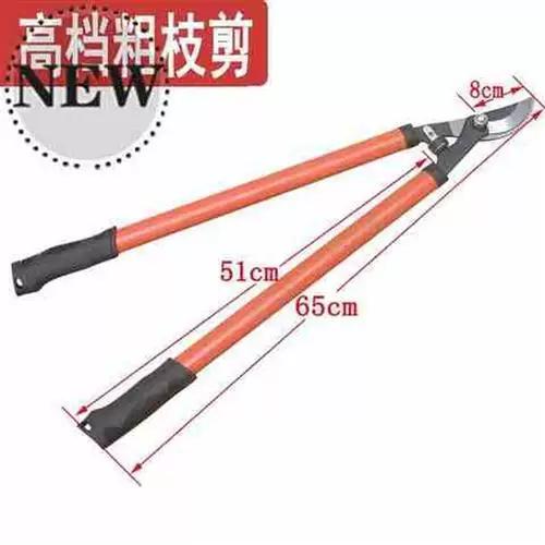 加粗尾剪掉可以吗