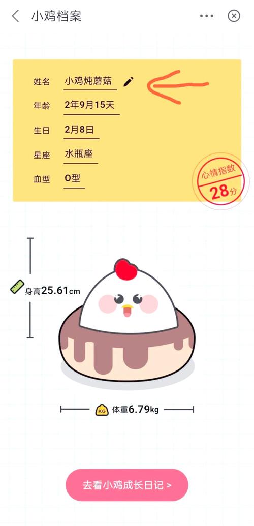 小鸡宝盒改名叫什么了