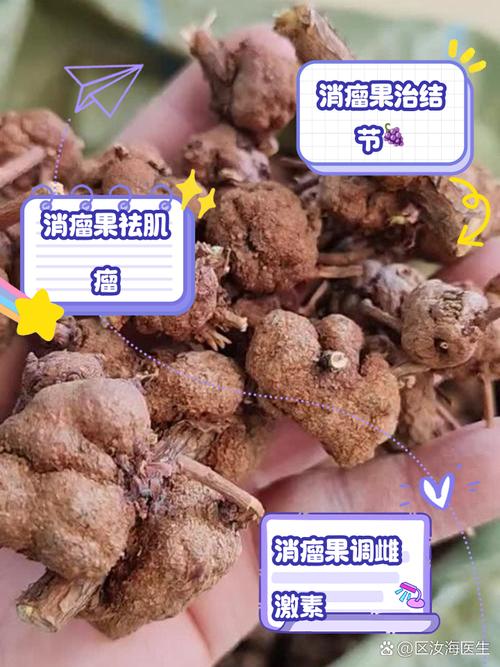 腐化瘤有什么用