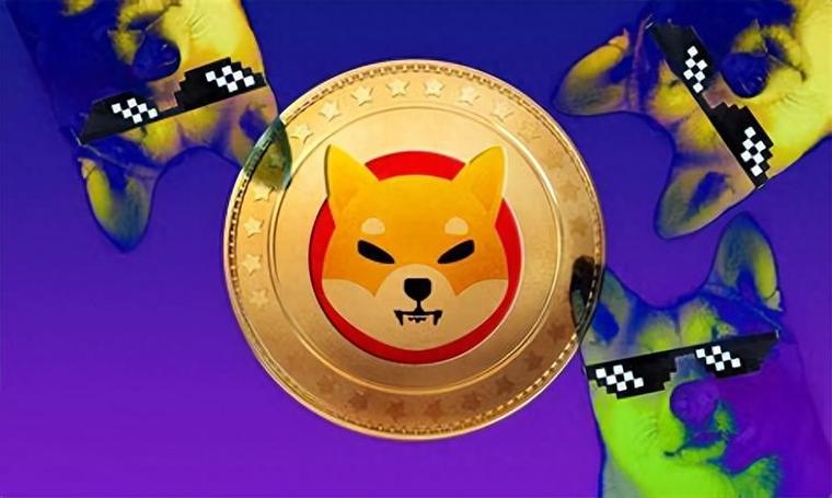 SHIB能涨到0.5美元吗