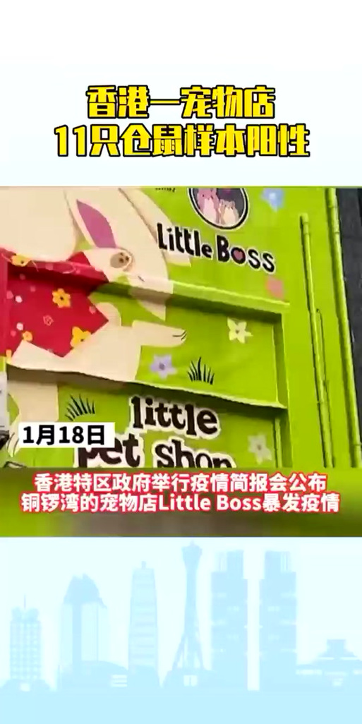 仓鼠症仓库发布页