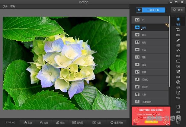 fotor老版破解版